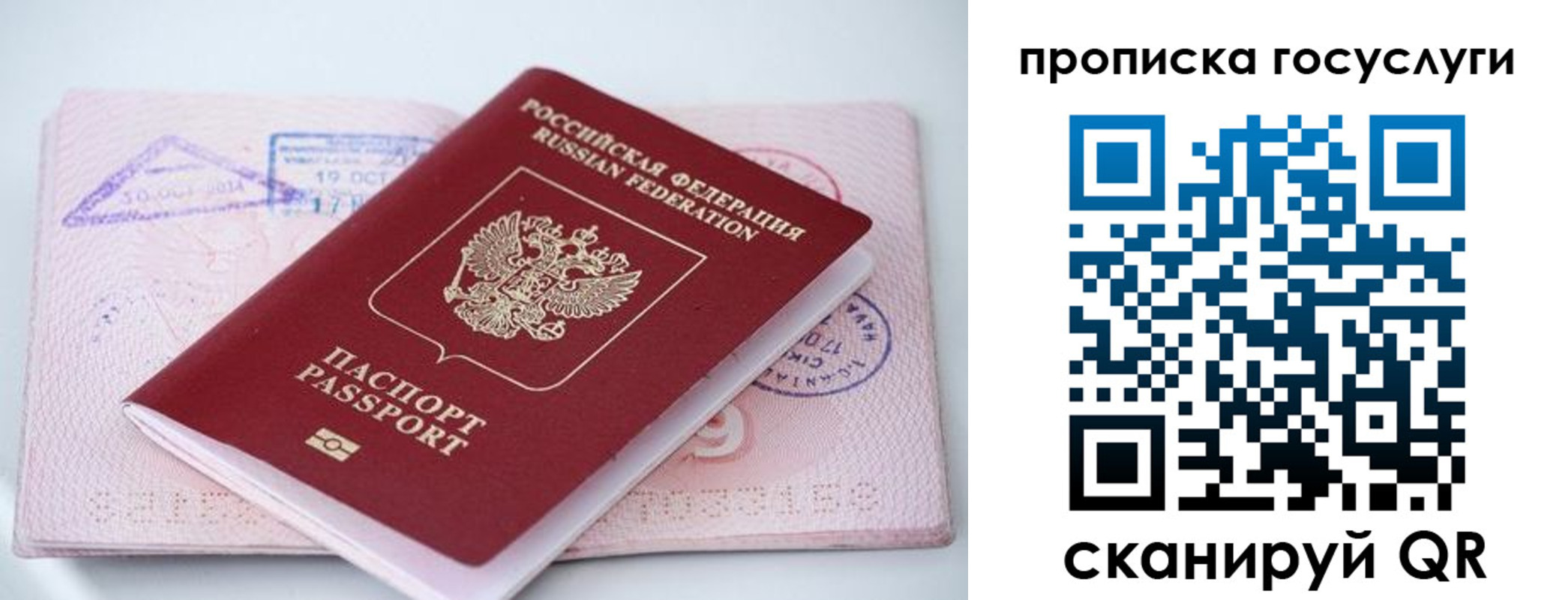 прописка законно в Ростове-на-Дону